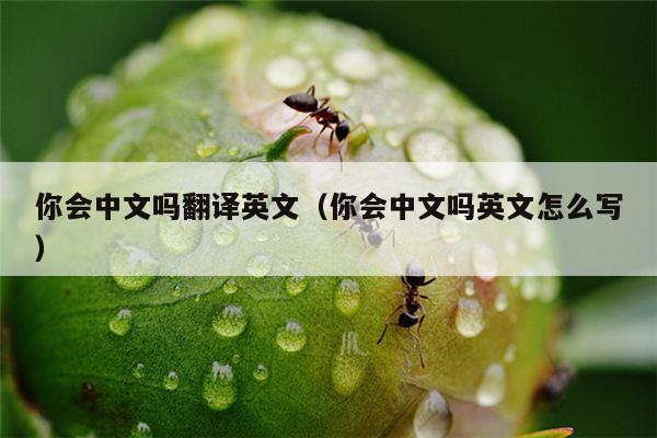 你会中文吗翻译英文（你会中文吗英文怎么写）