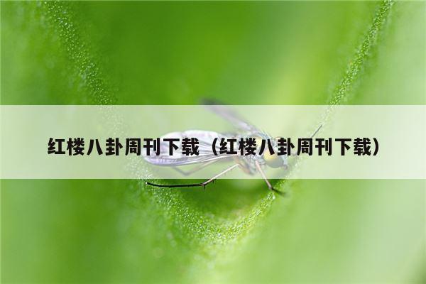 红楼八卦周刊下载（红楼八卦周刊下载）