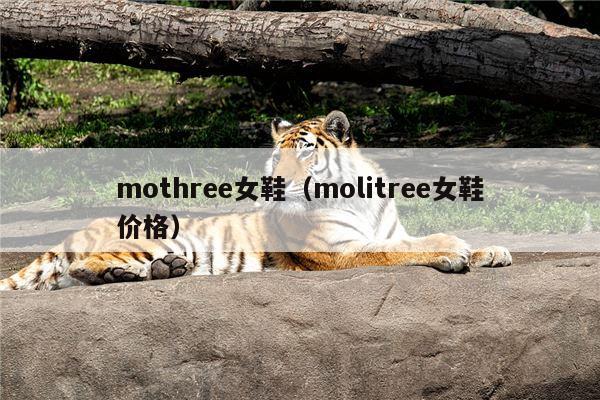 mothree女鞋（molitree女鞋价格）