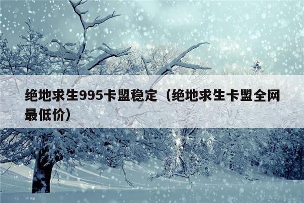 绝地求生995卡盟稳定（绝地求生卡盟全网最低价）